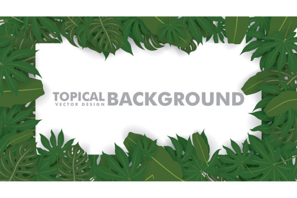Download Frame Made of Fresh Green Tropical Leave - Premium Resources