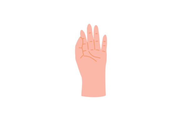 Download Hands Gesture with Fingers &amp; Open Palms - Palms Collection