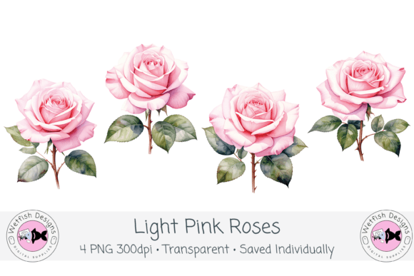 Download Watercolor PNG 300dpi Light Pink Roses - Ink Collection