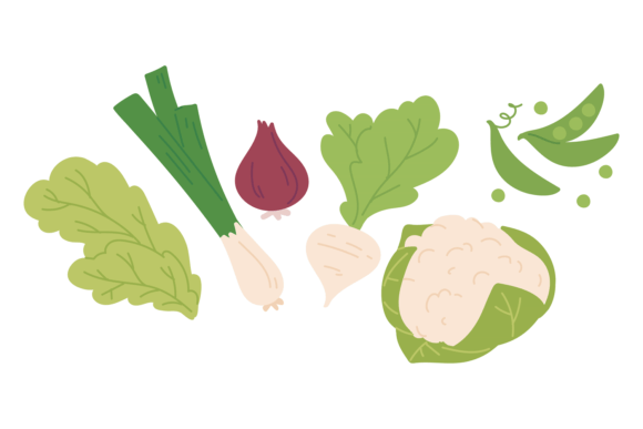 Download Salad Vegetables. Healthy Fresh Green or - Premium Resources